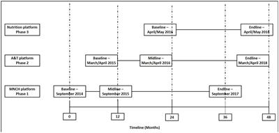 Impact of market-based home fortification with micronutrient powder on childhood anemia in Bangladesh: a modified stepped wedge design